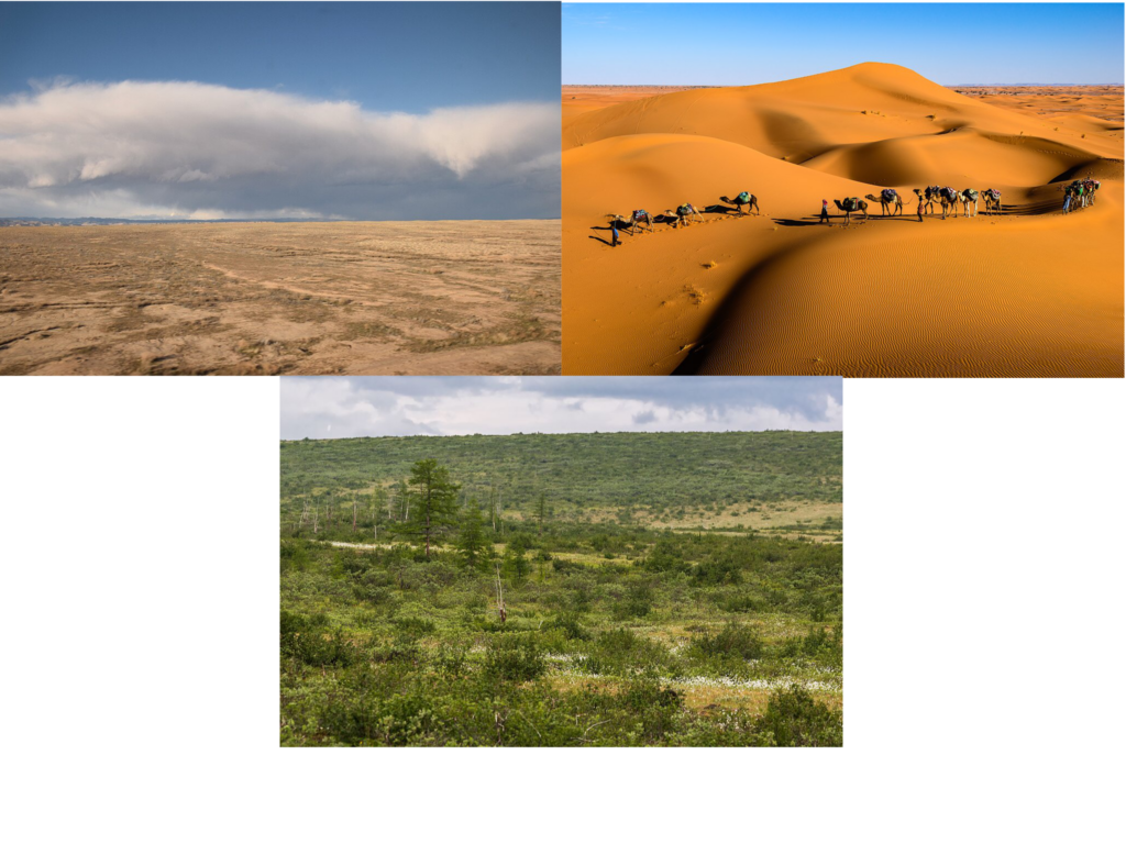 Nevada desert (C) Alexandre Ultre. Sahara (c) Sergey Pesterev. Siberian tundra (c) Ninaras. Creative Commons licence Wikimedia Commons.