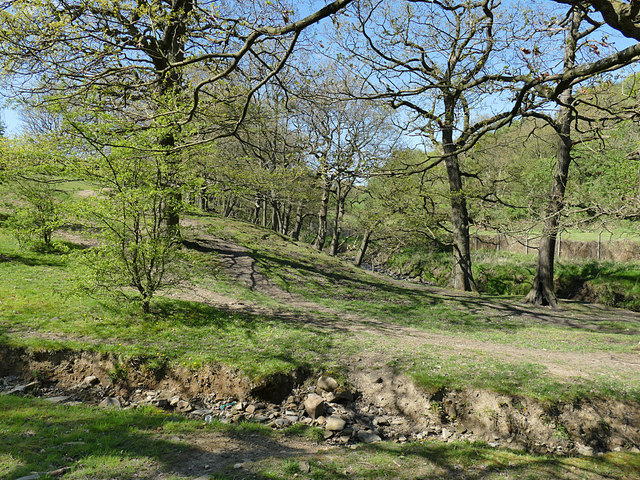 CG097-Tyersal-Beck
