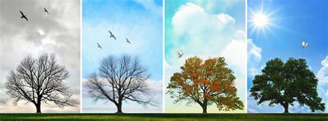 CG043-Four-seasons